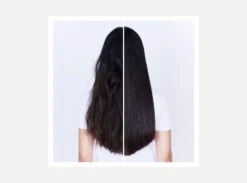 Shu Uemura Ashita Supreme Conditioner Rivitalizzante Intenso 250 Ml -Cosmetici Promozione effetto maschera shu uemura ashita supreme 1