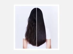 Shu Uemura Ashita Supreme Shampoo Rivitalizzante Intenso 300 Ml -Cosmetici Promozione effetto shampoo shu uemura ashita supreme