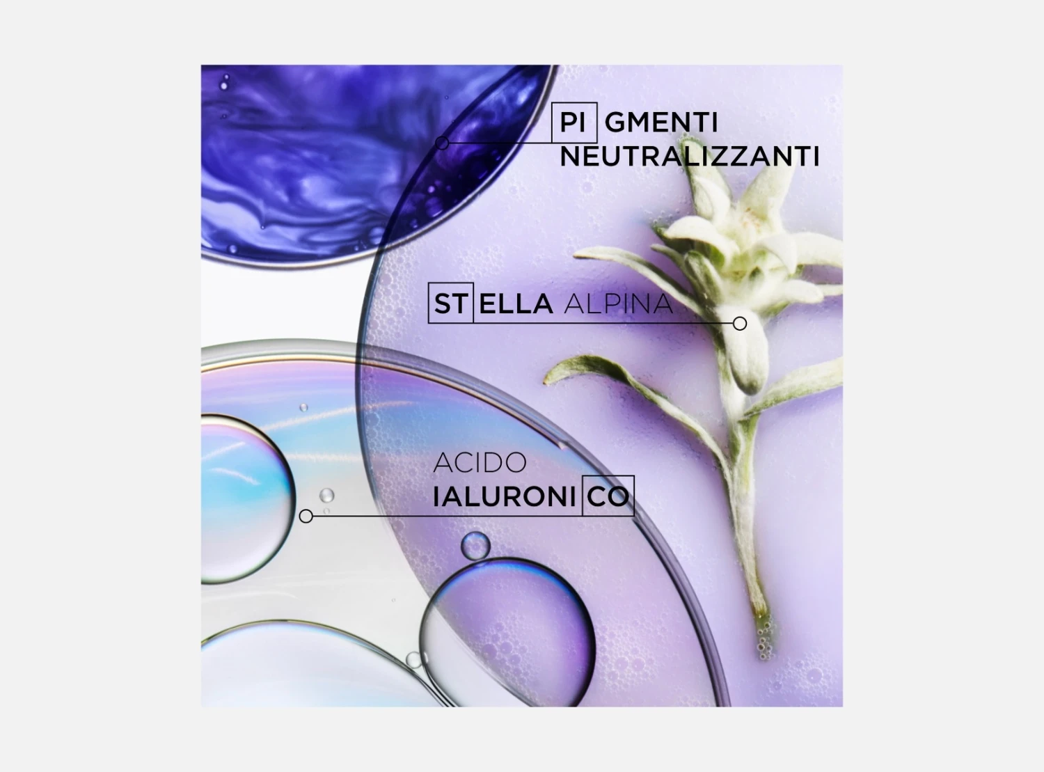 Cofanetto Kérastase Blond Absolu Con Shampoo E Maschera Per Capelli Biondi E Decolorati 5 Cofanetto Kérastase Blond Absolu Con Shampoo E Maschera Per Capelli Biondi E Decolorati - immagine 3