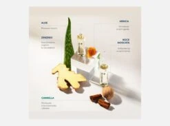 FIALE MEDAVITA LOTION CONCENTREE HOMME 13FLX6ML - TRATTAMENTO INTENSIVO ANTICADUTA UOMO -Cosmetici Promozione principi attivi fiale medavita uomo anticaduta lotion concentree